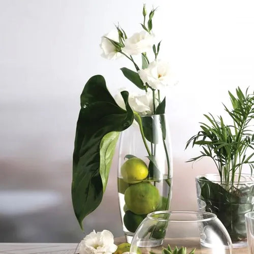 FLORERO VASE FLORA 280 ML PASABAHCE