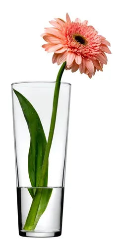 FLORERO VIDRIO 1 LT PASABAHCE